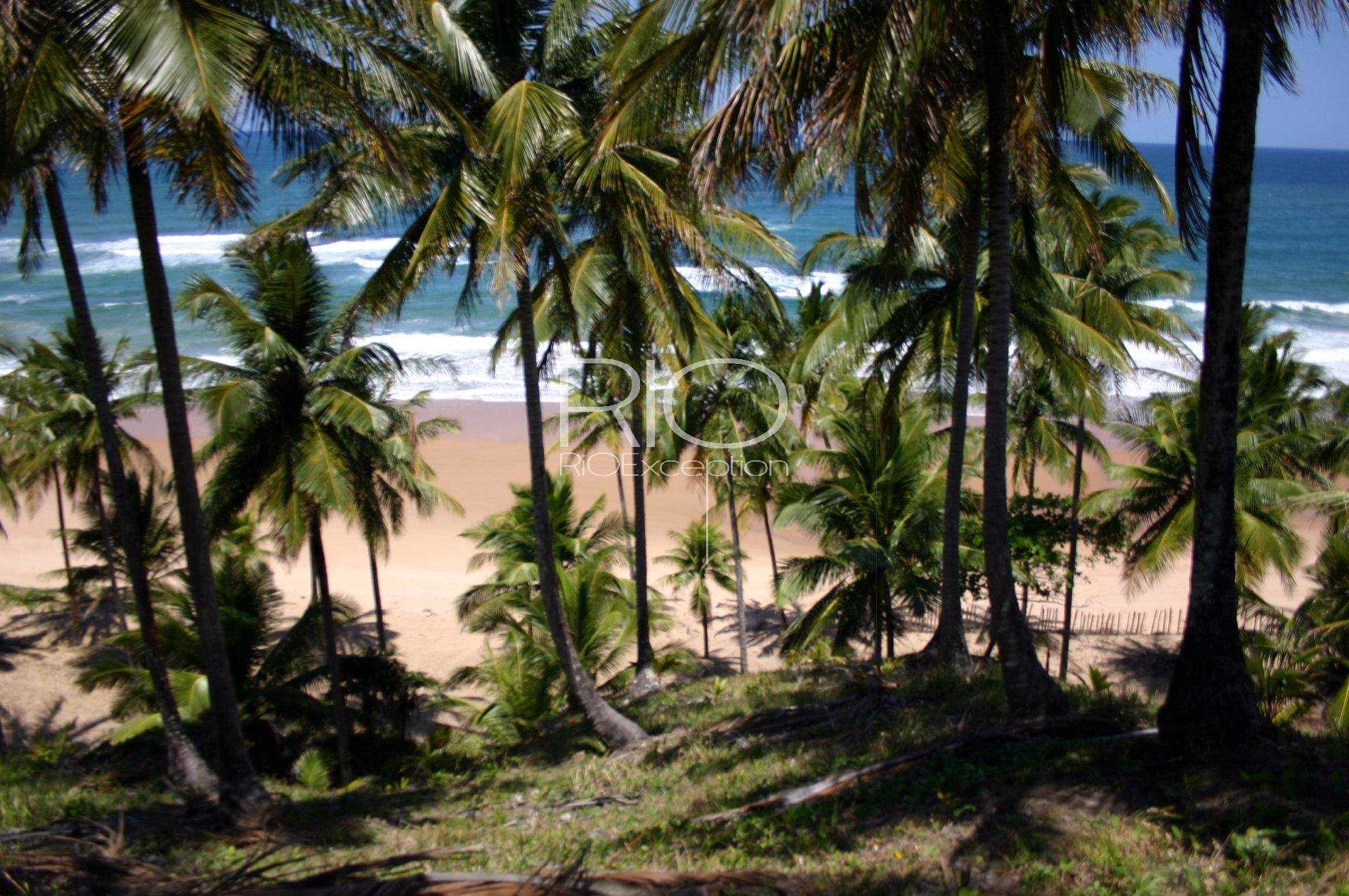 Land in Una, Bahia 10782990