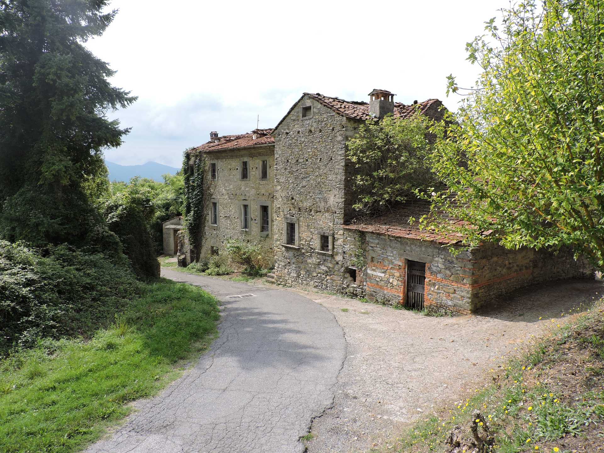Plusieurs maisons dans Magliano, Toscane 10785160