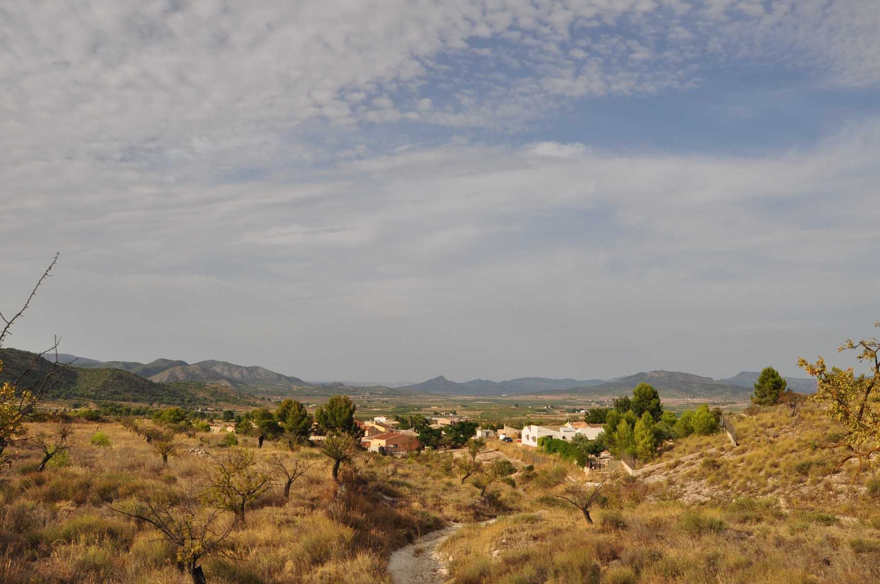 Γη σε , Valencian Community 10786258