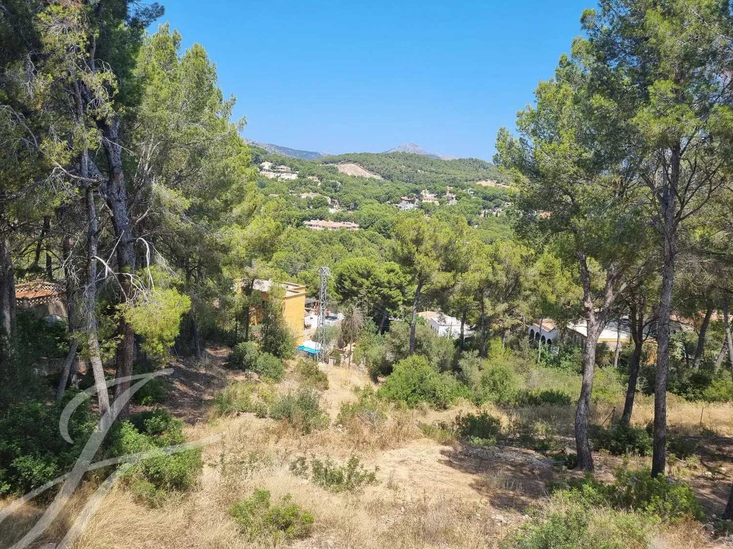Land in Capdella, Balearic Islands 10786953