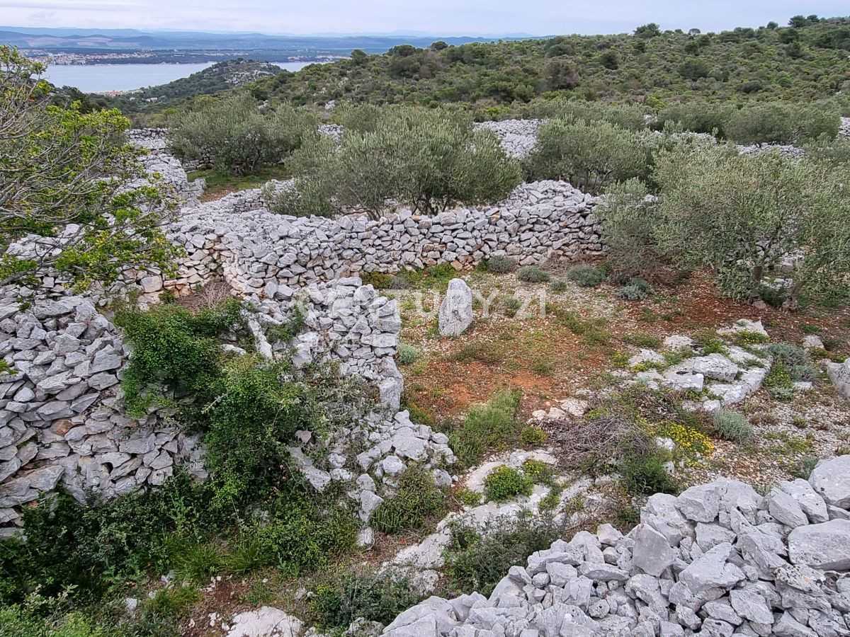 Tanah dalam Tkon, Zadarska Zupanija 10789090