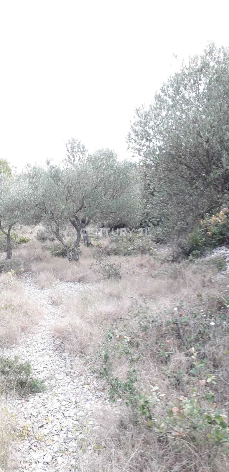 Land im , Split-Dalmatia County 10789097