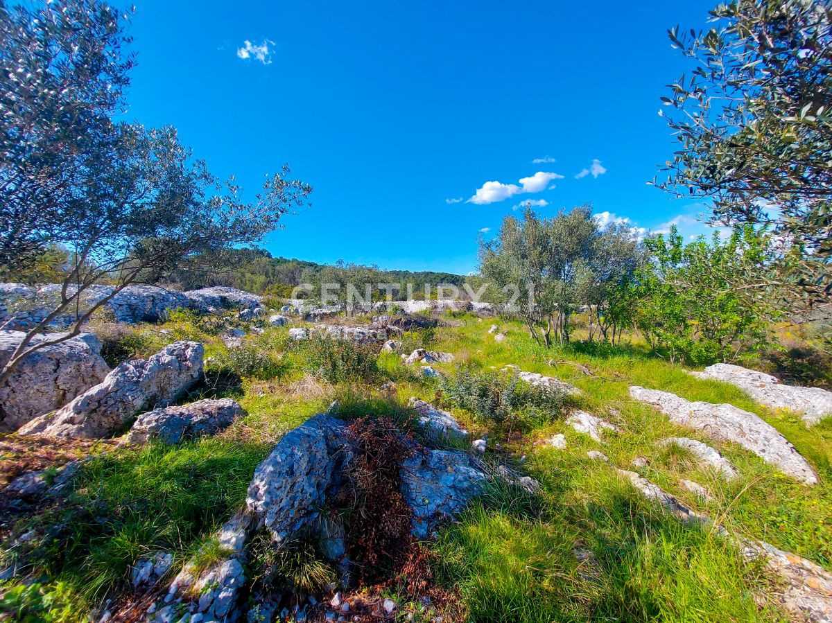 Land in Preko, Zadar County 10789230