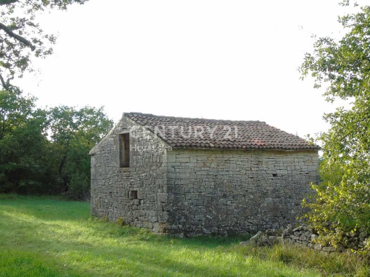 Land in Rovinj, Istria County 10789275