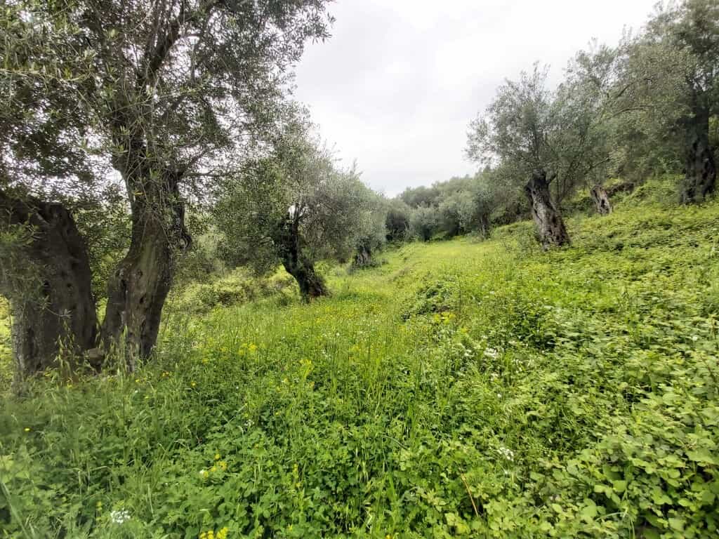 Land in Stavros, Ionia Nisia 10793504