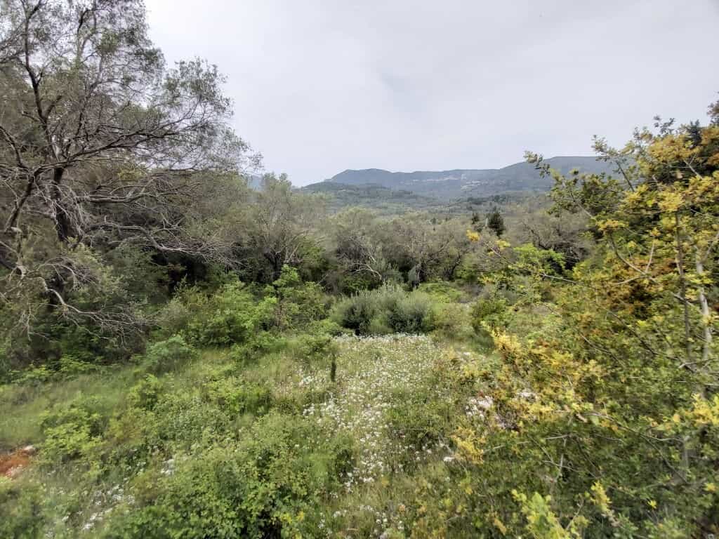 Land in Stavros, Ionia Nisia 10793505