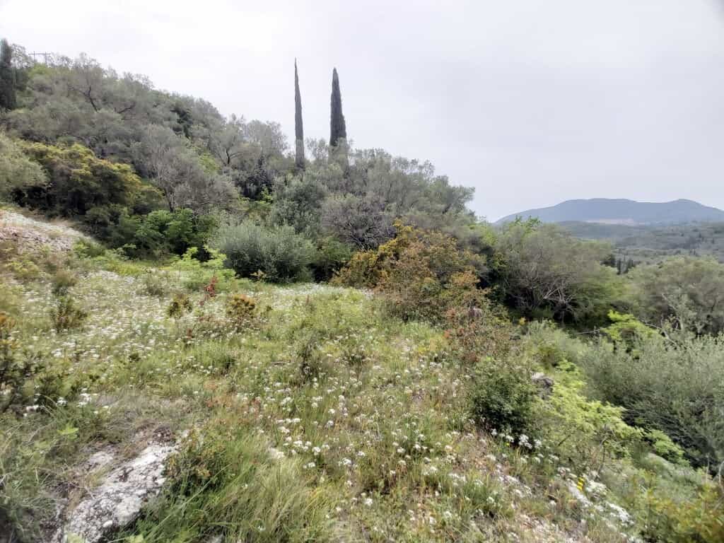 Land in Stavros, Ionia Nisia 10793505