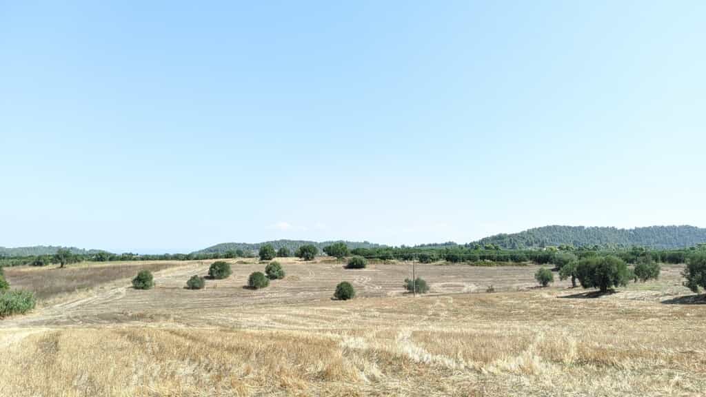 Terra no Cassandreia, Kentriki Makedonia 10794501