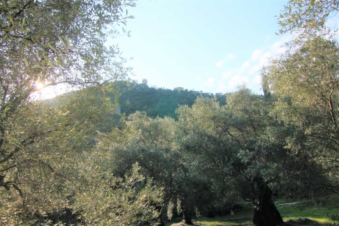 Tanah di Agios Markos, Ionia Nisia 10795530