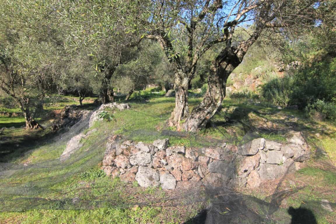 Tanah dalam Agios Markos, Ionia Nisia 10795530
