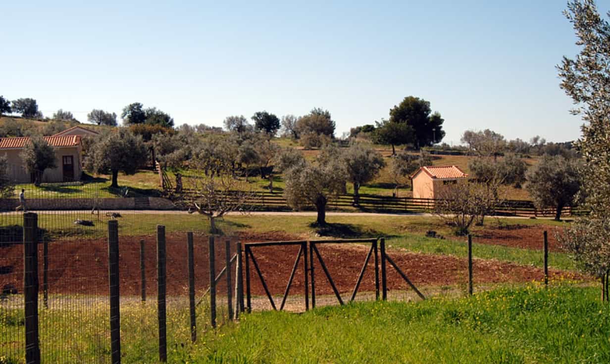 Tanah di Kranidi, Peloponnisos 10795940