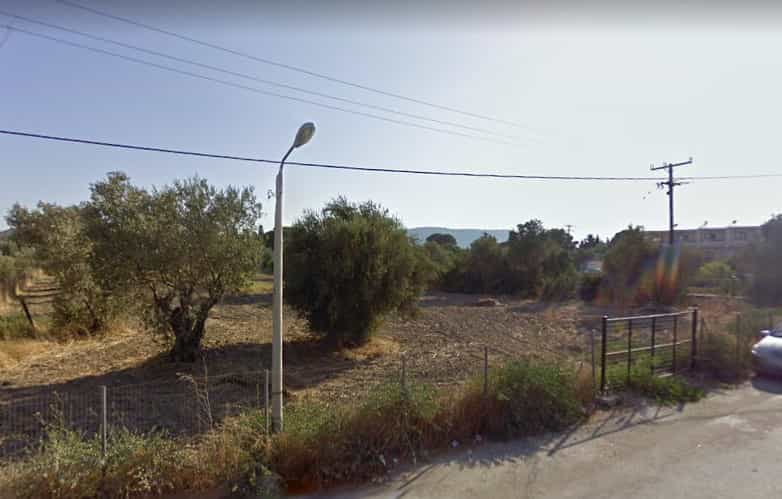 Land in Pitsiota, Sterea Ellada 10796106