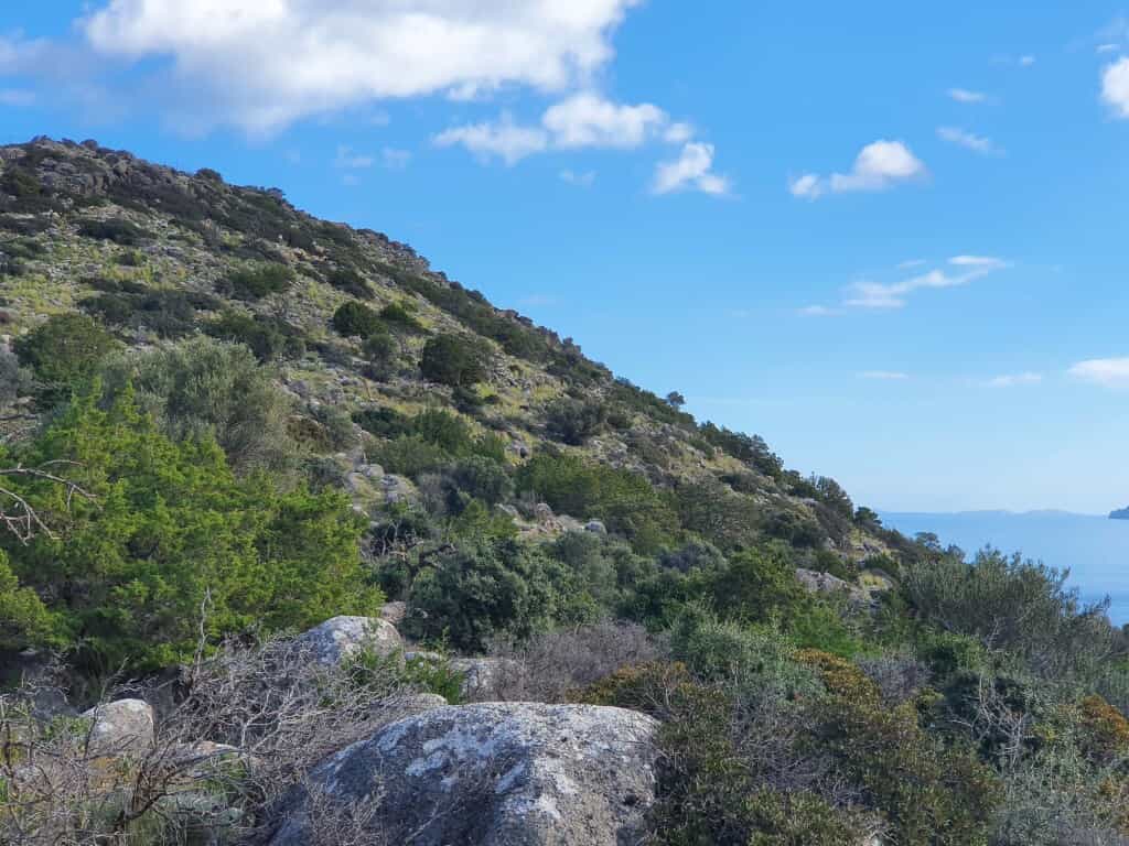 Terre dans Agios Nikolaos, Kriti 10796269