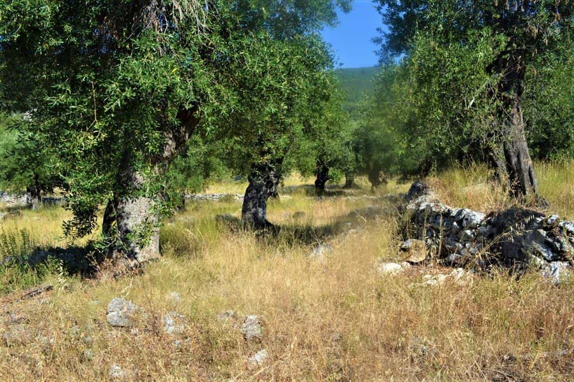 Земля в Agios Markos, Ionia Nisia 10796384