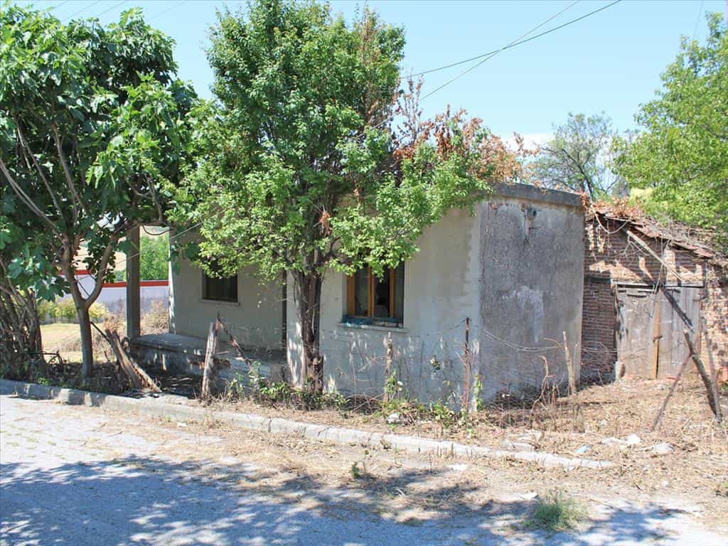 Hus i Kitros, Kentriki Makedonien 10796530