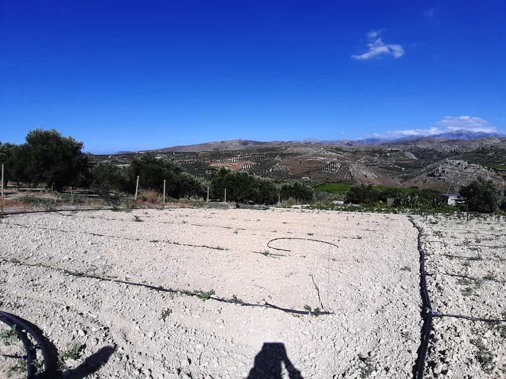 Land in Galype, Kriti 10796601