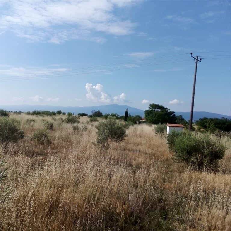 Tanah dalam Kolchiko, Kentriki Makedonia 10796611