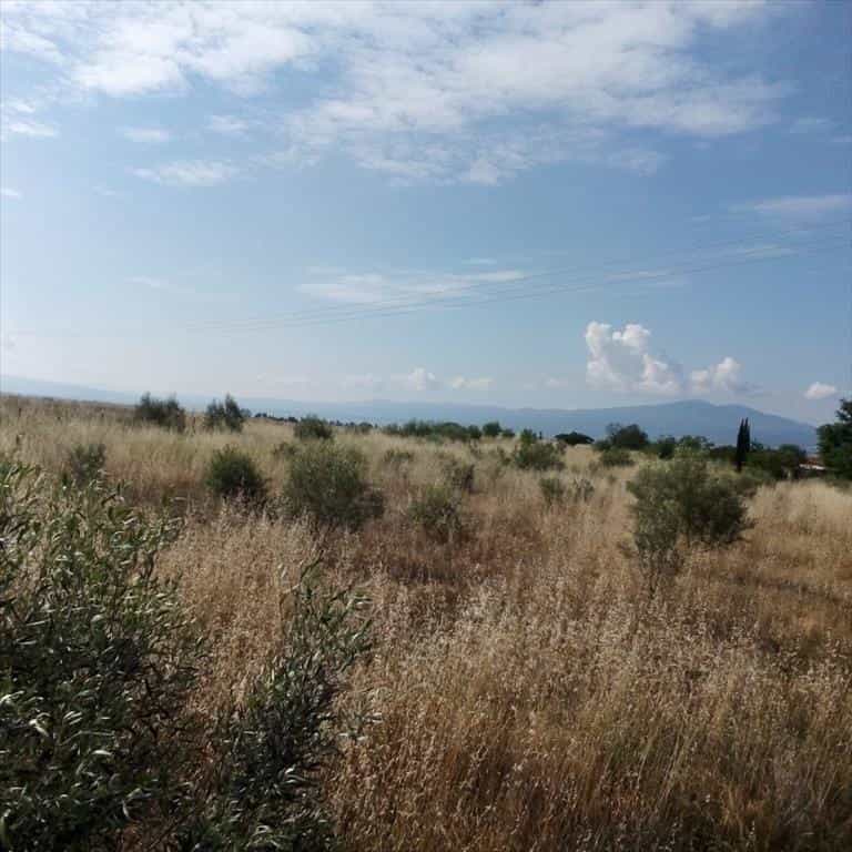 Tanah dalam Kolchiko, Kentriki Makedonia 10796611
