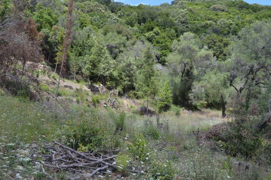 Land in Linia,  10796749