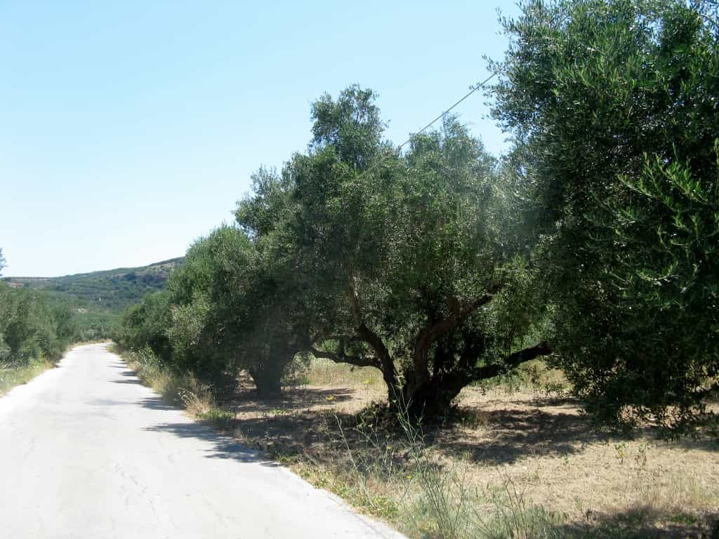 Tanah di Stavros, Ionia Nisia 10796949