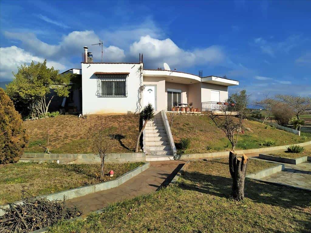 House in Nea Raidestos, Kentriki Makedonia 10797350