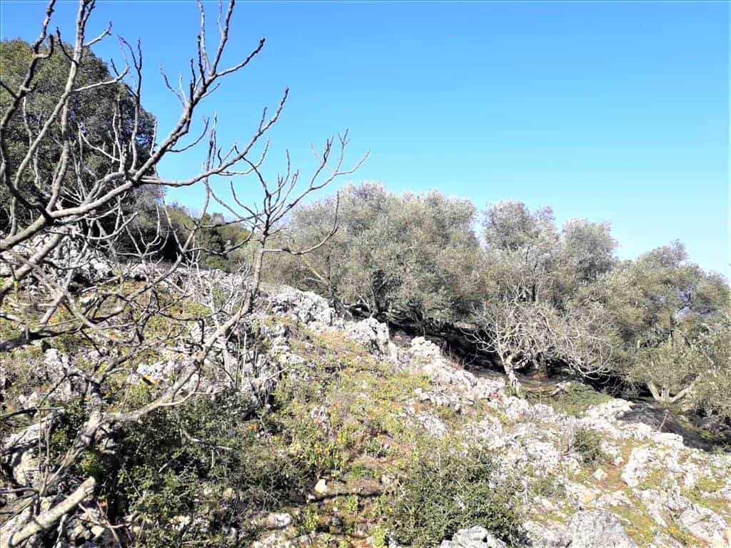 Tanah dalam Agios Markos, Ionia Nisia 10797473