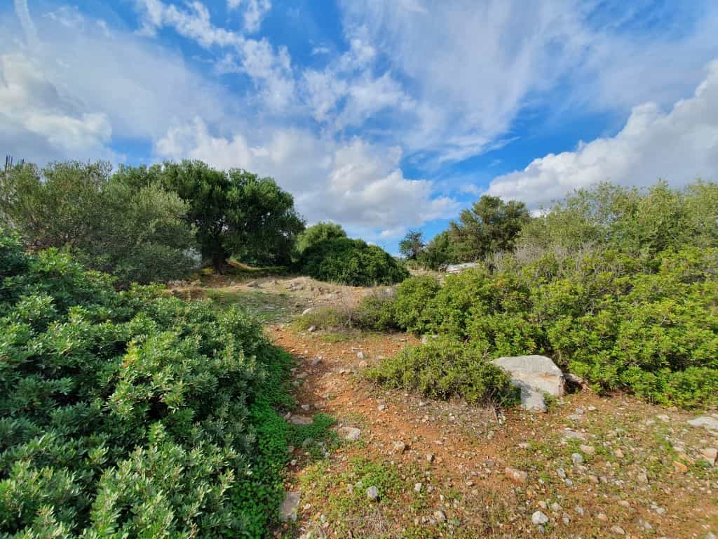 Land in Agios Nikolaos, Kriti 10797693