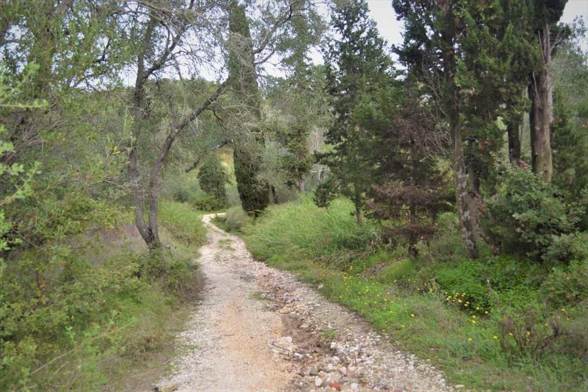 Land in Petriti, Ionia Nisia 10797712