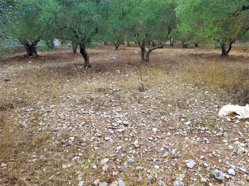 Tanah dalam Tzermiado, Kriti 10797838
