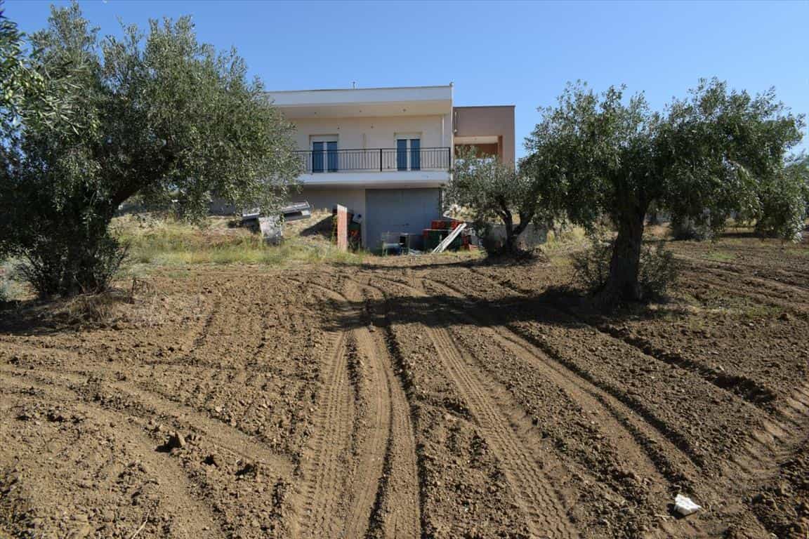 Dom w Trilofo, Kentriki Makedonia 10798346