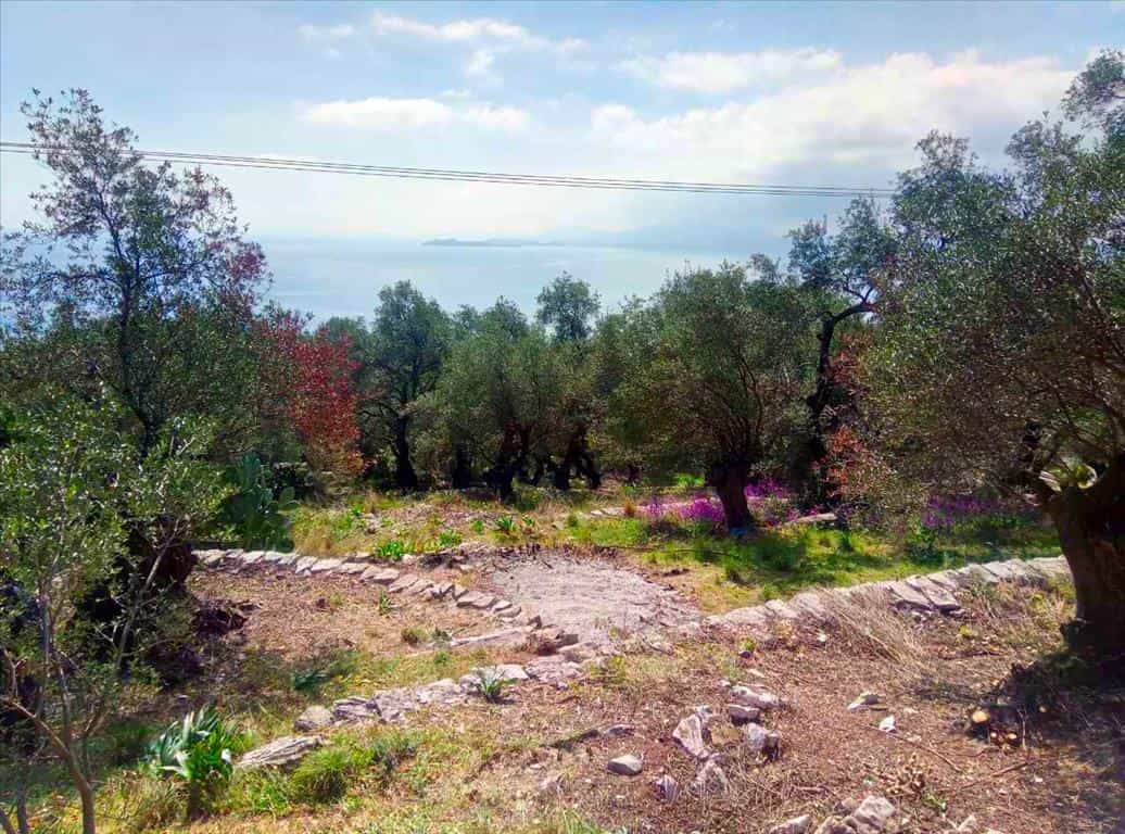 Land in Kassiopi, Ionia Nisia 10798474