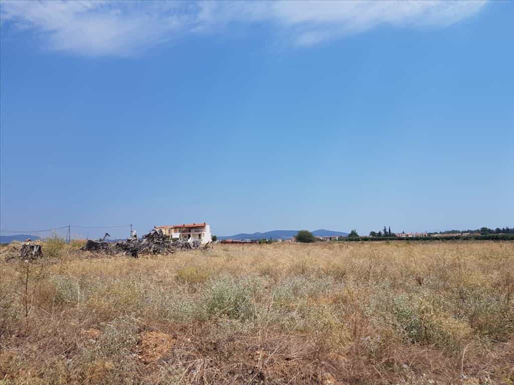الأرض في Kalyves Polygyrou, Kentriki Makedonia 10798614