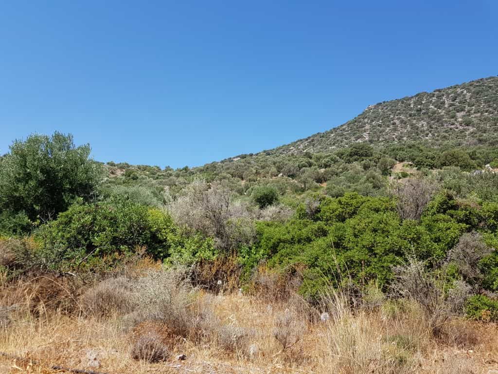 Land in Agios Nikolaos, Kriti 10798890