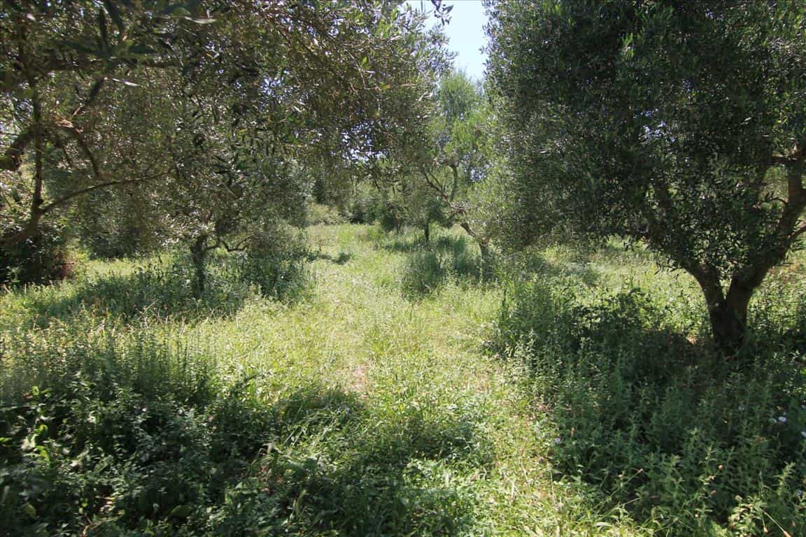 Land in Vasilatika, Ionia Nisia 10798994