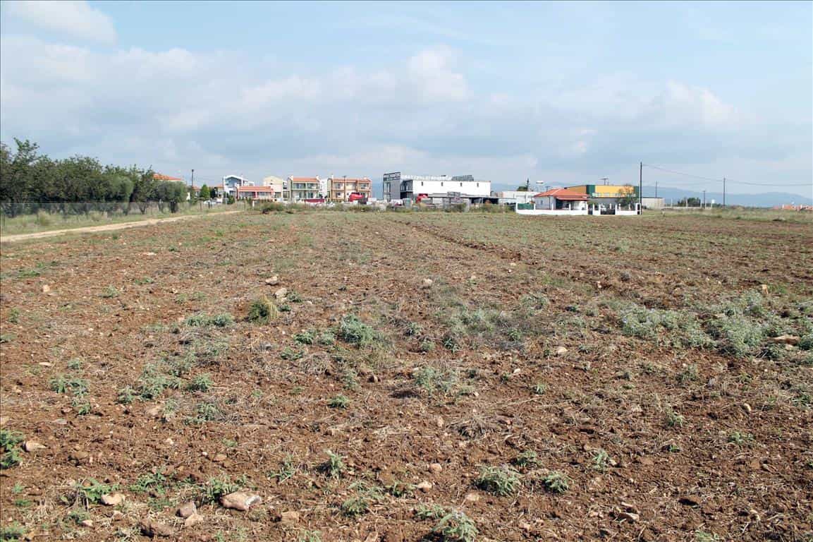 Tanah dalam Kalives Poligirou,  10799117