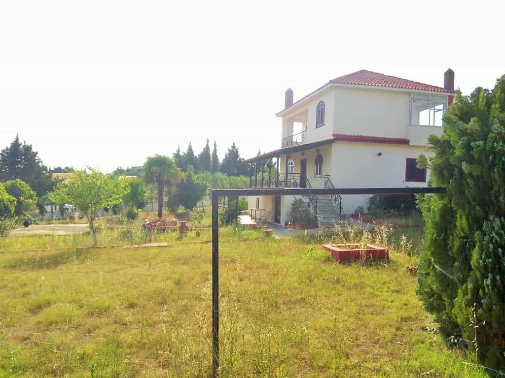 Hus i Galini, Kentriki Makedonien 10799226