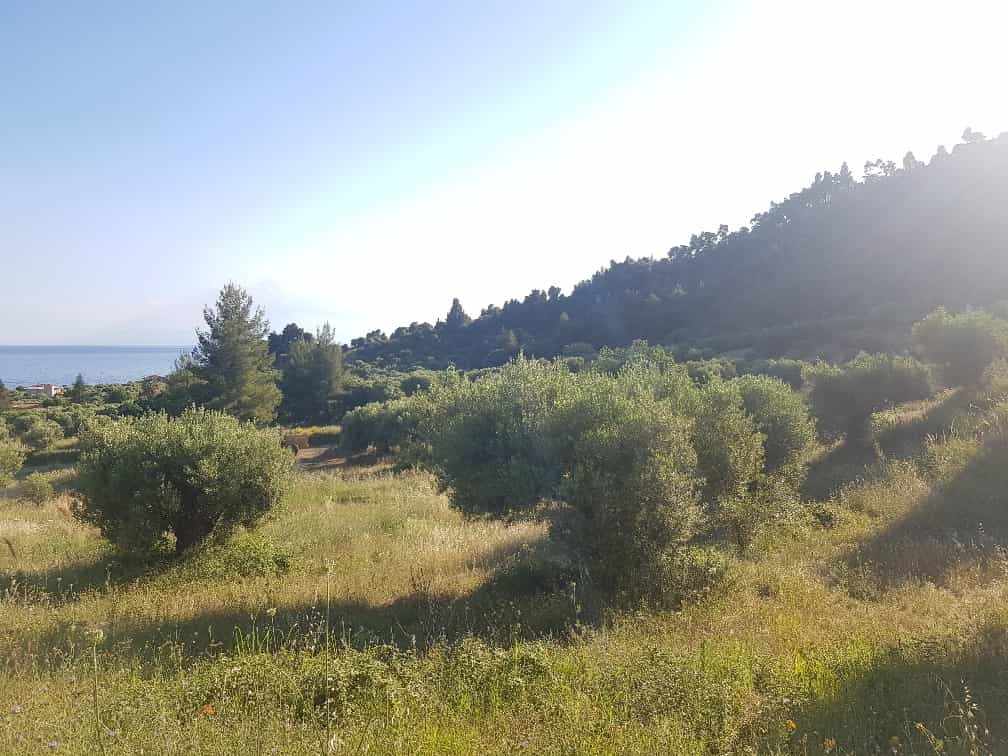 Tierra en Kassandreia, Kentriki Macedonia 10799380