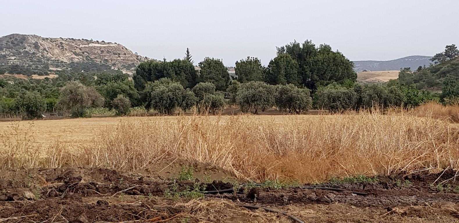 Tanah dalam Pyrgos, Larnaka 10799451