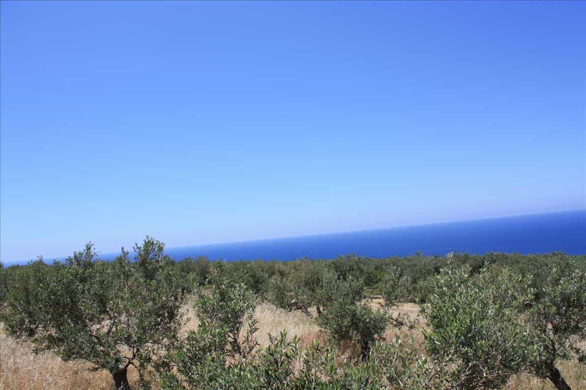 Земля в Полірінія, Криті 10799454
