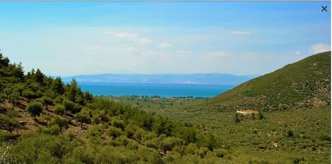 Land in Maries, Anatoliki Makedonia kai Thraki 10799536