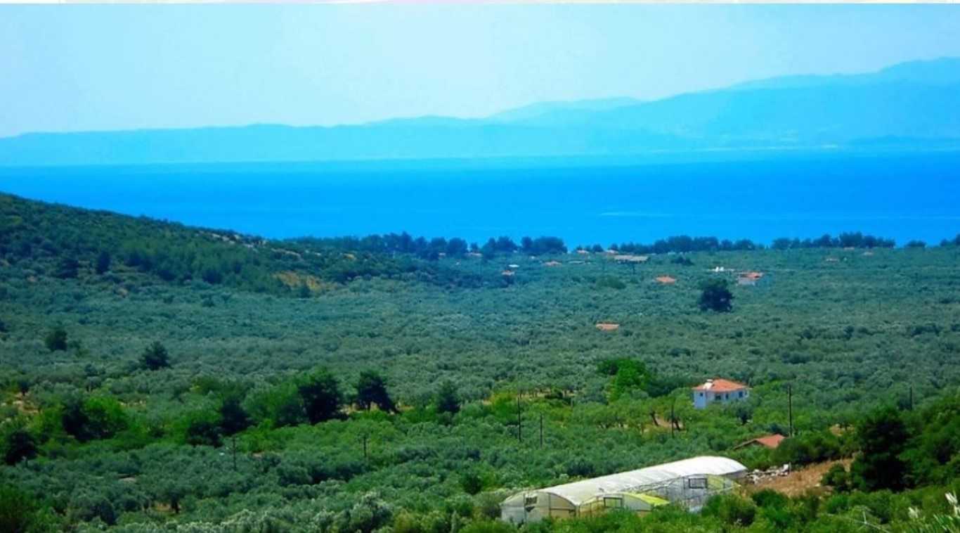 Tanah dalam Maries, Anatoliki Makedonia kai Thraki 10799549