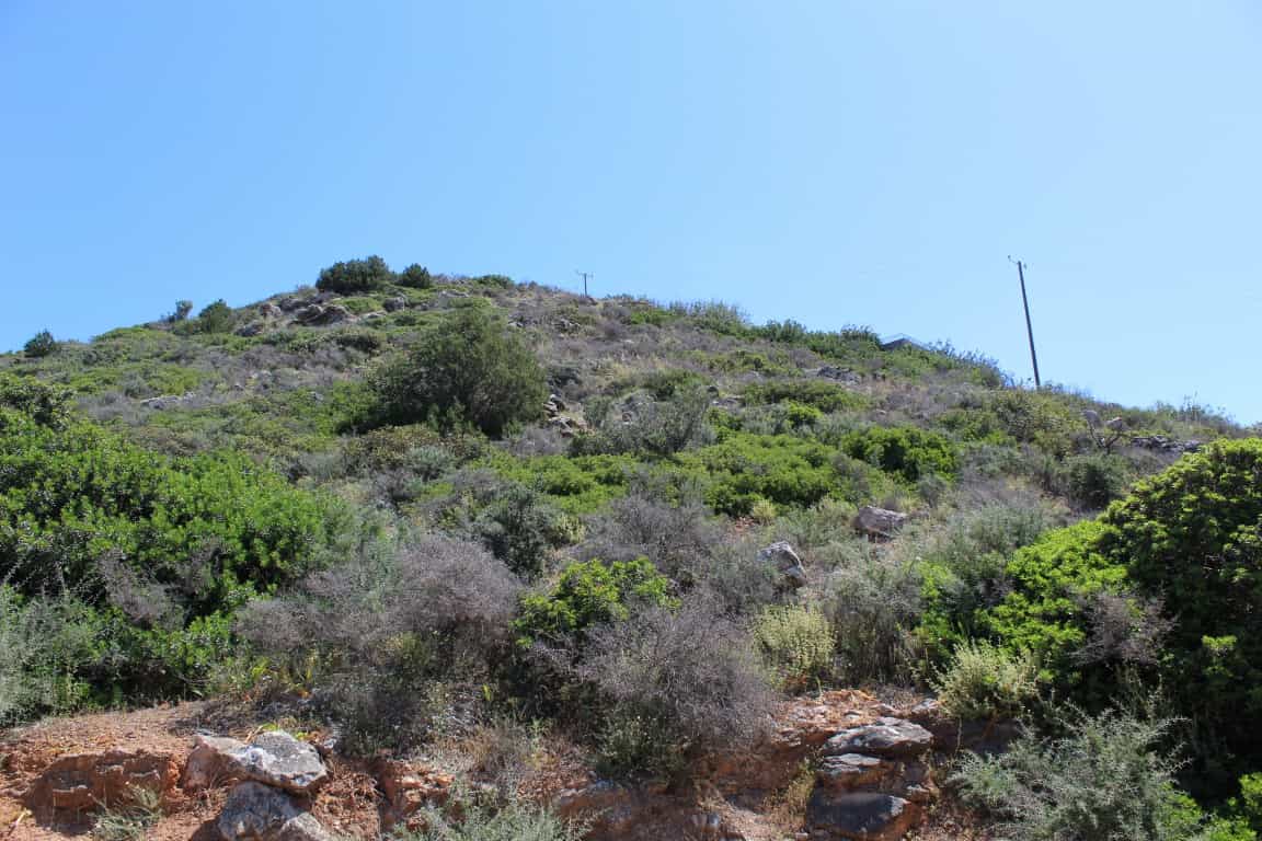 Tierra en Agios Nikolaos, criti 10799563