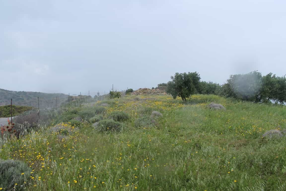 Земля в Сфака, Криті 10799739