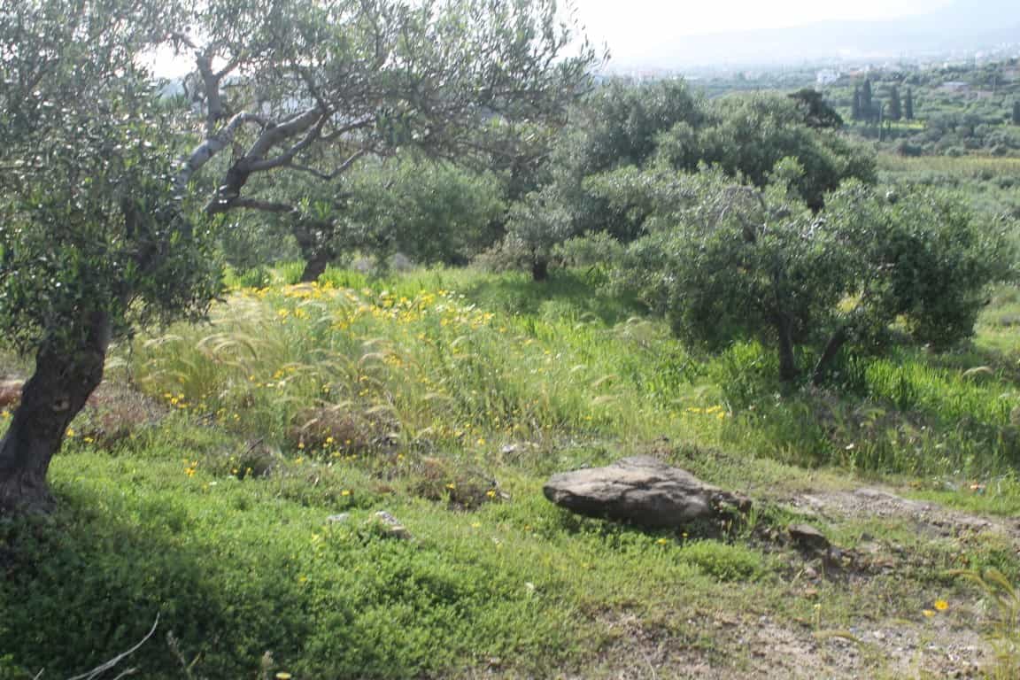 Tanah dalam Limenas Chersonisou, Kriti 10799959