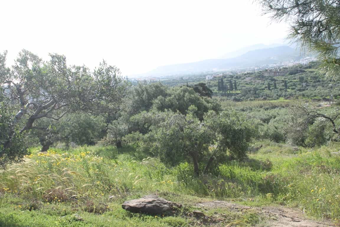 Tanah dalam Limenas Chersonisou, Kriti 10799959