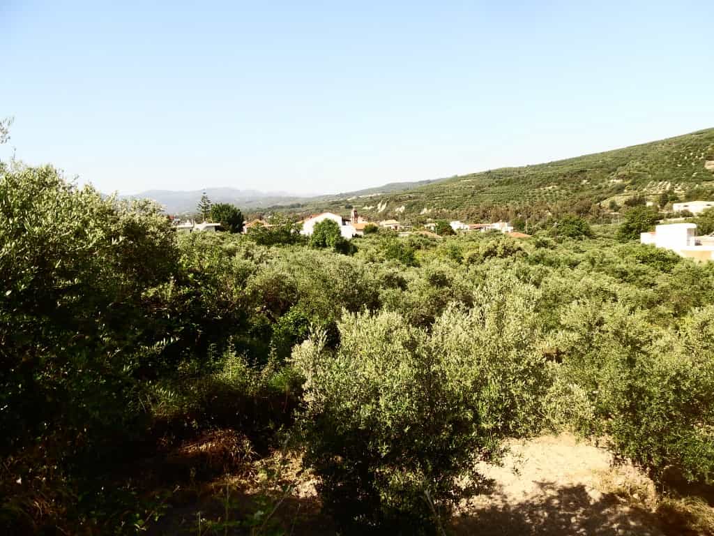 Land in Metochi Siriliou,  10799973