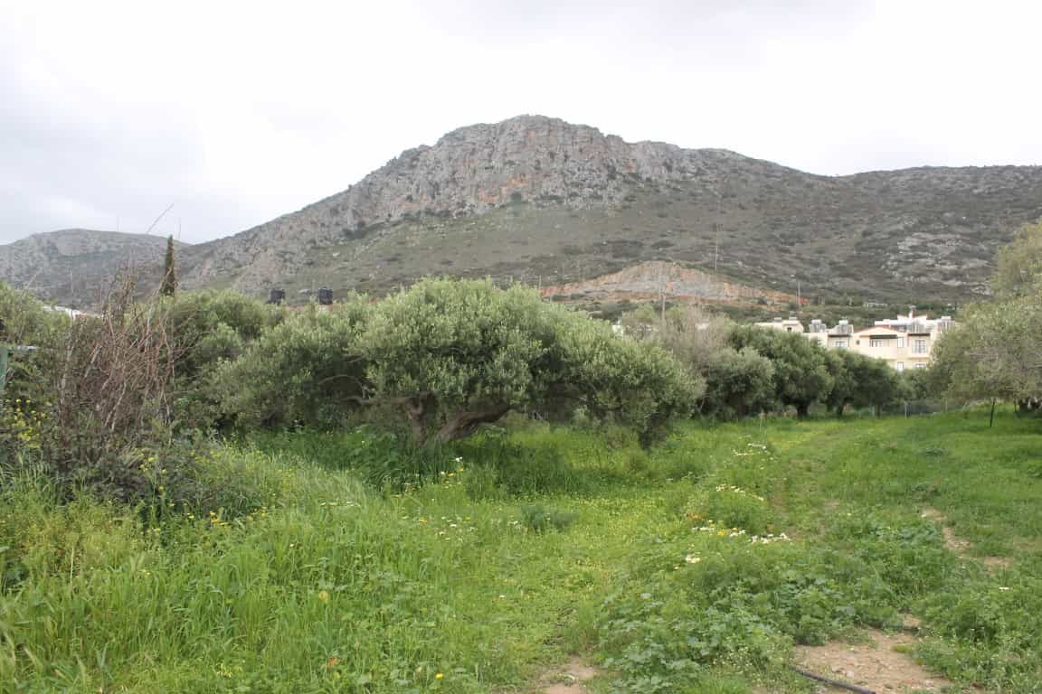 Land in Piskopiano, Kriti 10800039