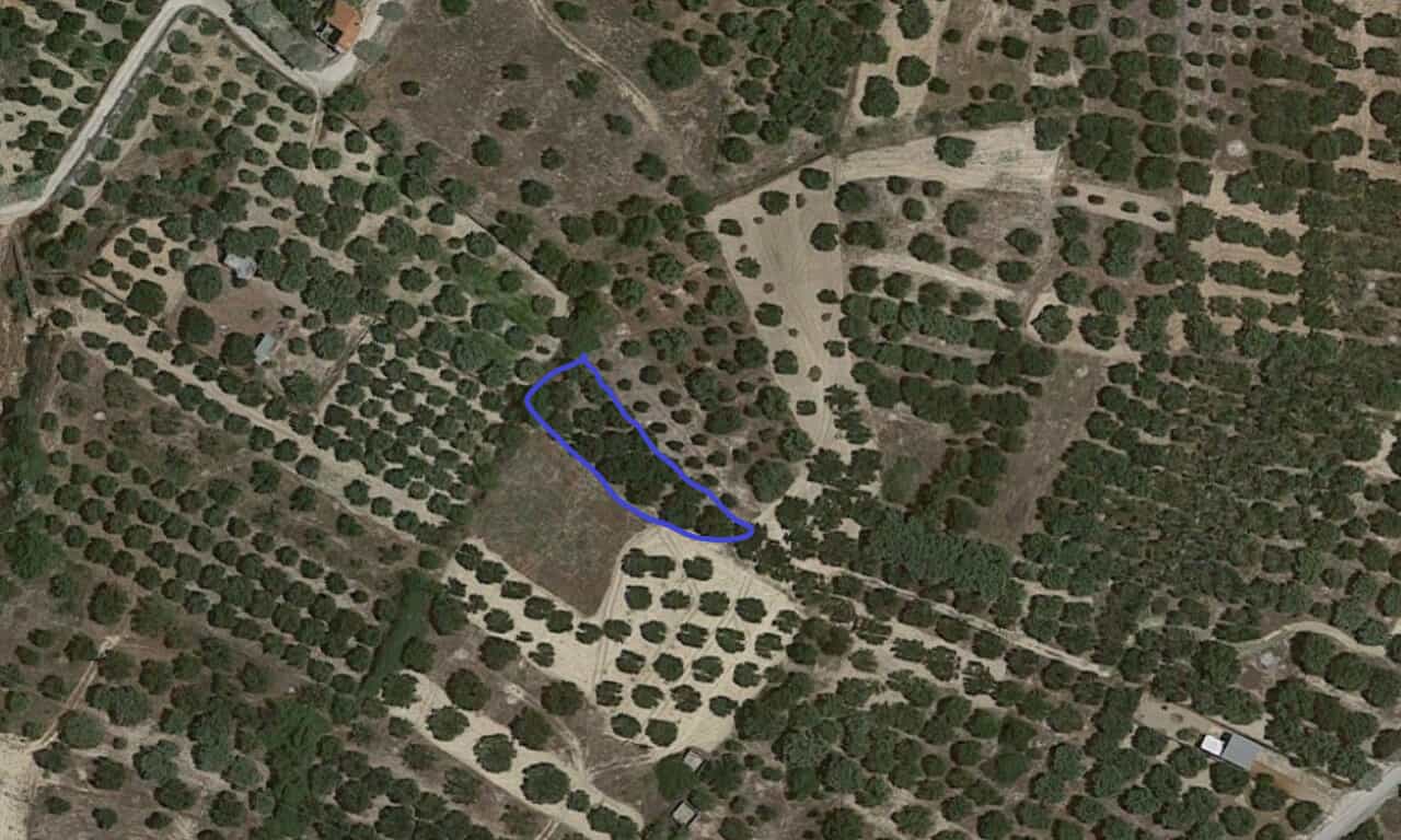Land in Piskopiano, Kriti 10800074