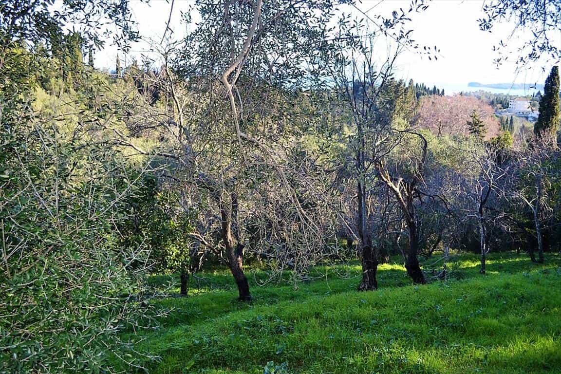 Tanah dalam Evropouloi, Ionia Nisia 10800311