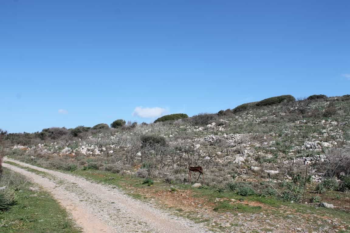 Земельные участки в Ацимпрага, Крити 10800422
